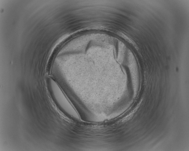 X0000061111029200512161408