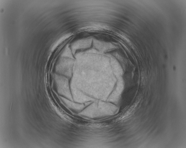 X0000061111034200512161408