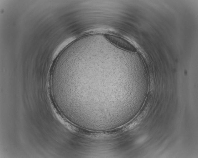 X0000061111042200512161408