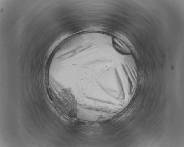 X0000061111043200512161408