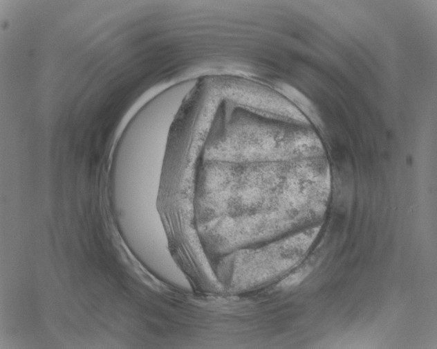 X0000061111052200512161409