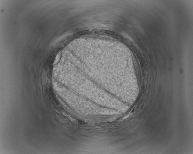 X0000061111063200512161408