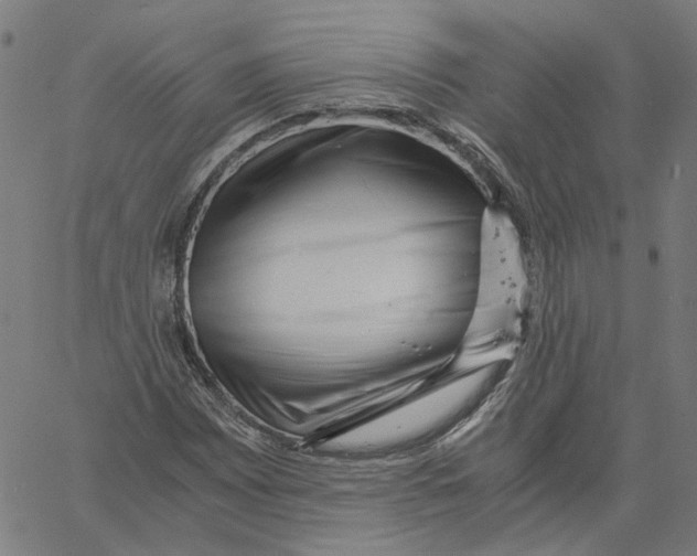 X0000061111065200512161408