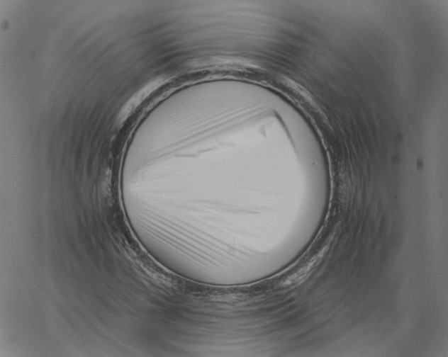 X0000061111066200512161408