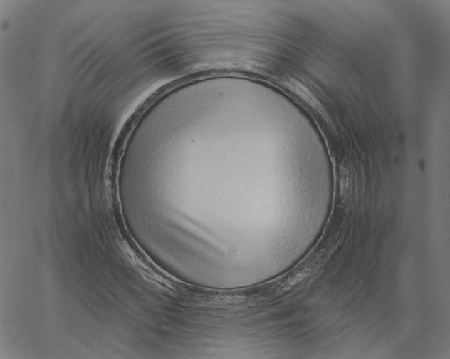 X0000061111068200512161408