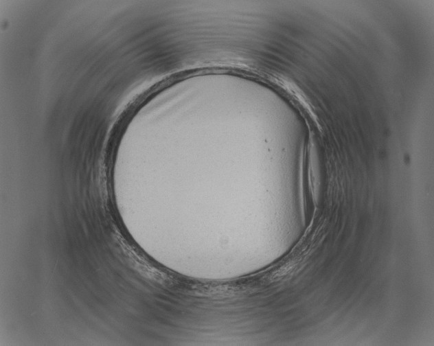 X0000061111072200512161407