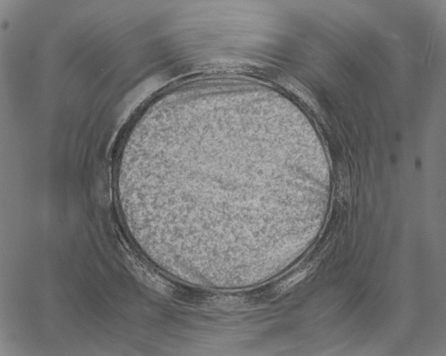X0000061111075200512161407