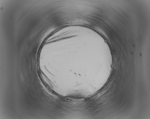 X0000061111087200512161407