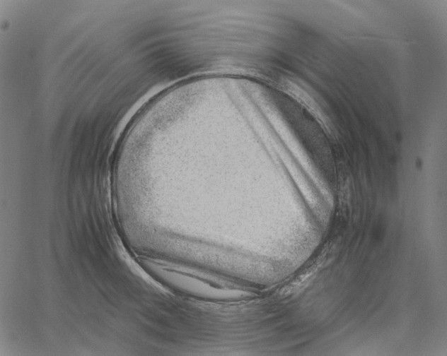 X0000061111092200512161407