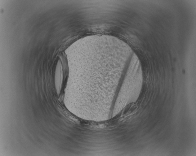X0000061111106200512161406