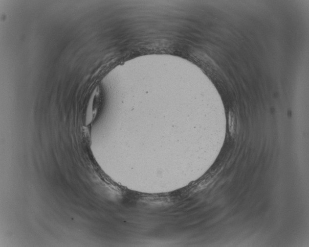 X0000061111107200512161406