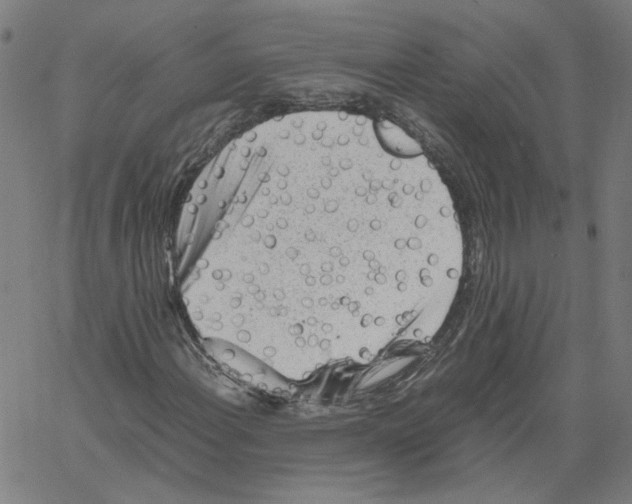 X0000061111108200512161406