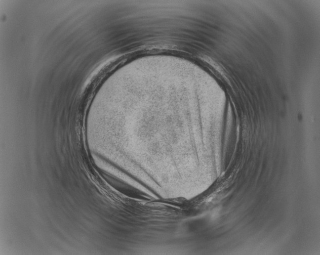 X0000061111115200512161406