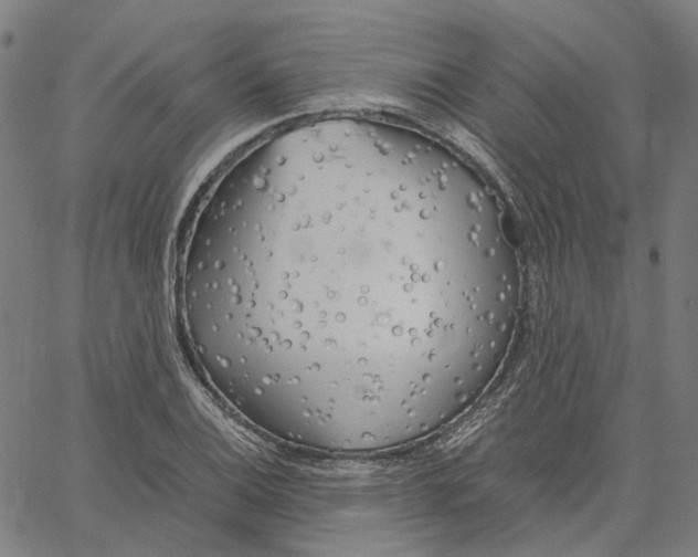 X0000061111124200512161406