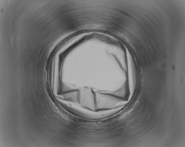 X0000061111125200512161406