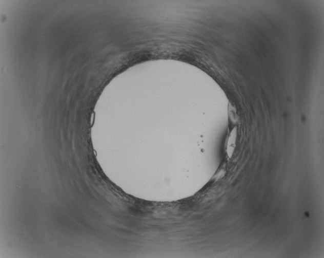 X0000061111153200512161406