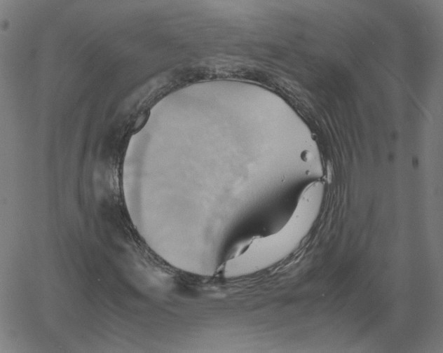 X0000061111155200512161406
