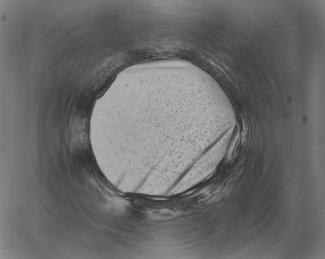 X0000061111156200512161406