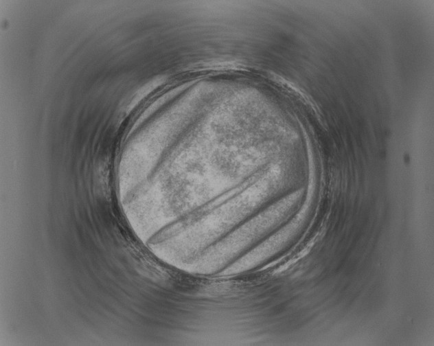 X0000061111162200512161406