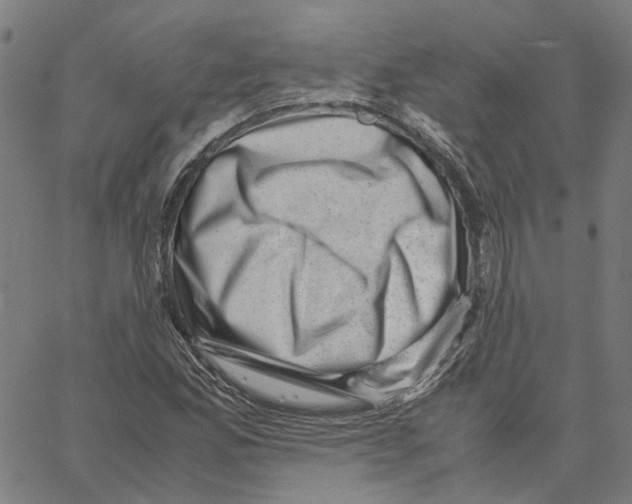 X0000061111165200512161406
