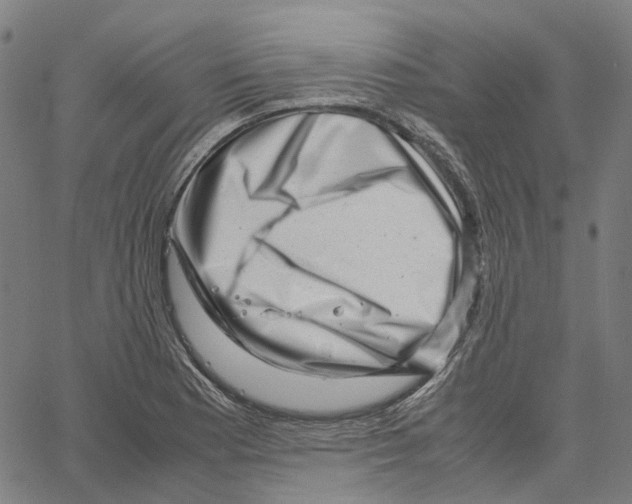 X0000061111177200512161406