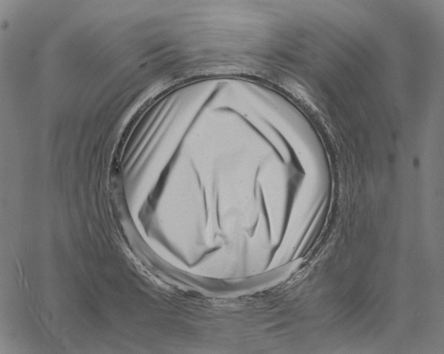 X0000061111181200512161406