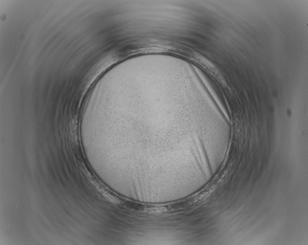 X0000061111186200512161406