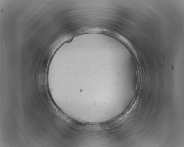 X0000061111194200512161405