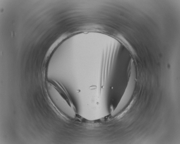 X0000061111196200512161405