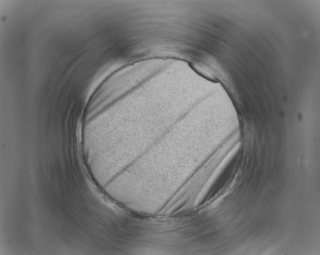 X0000061111198200512161405