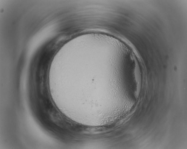 X0000061111199200512161405