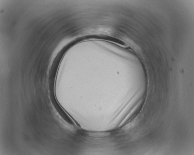 X0000061111200200512161405