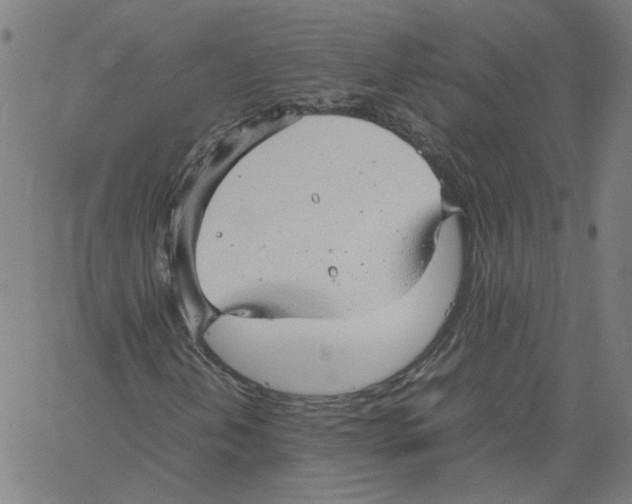 X0000061111202200512161405