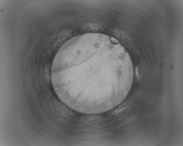 X0000061111203200512161405