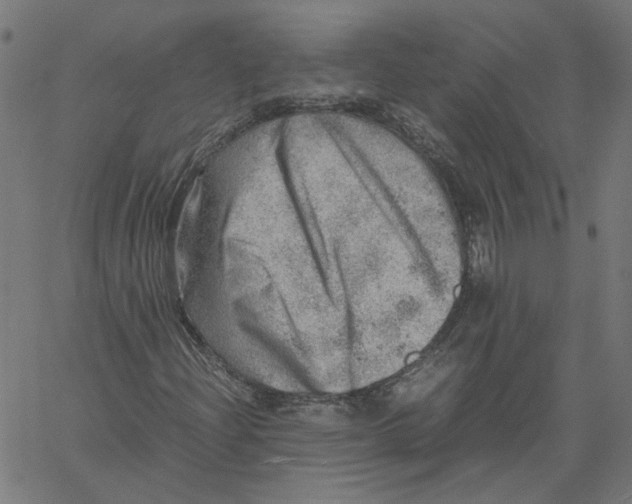 X0000061111204200512161405