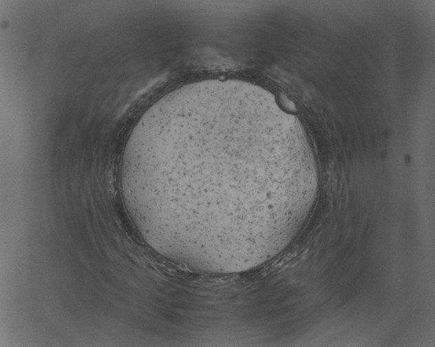 X0000061111205200512161405