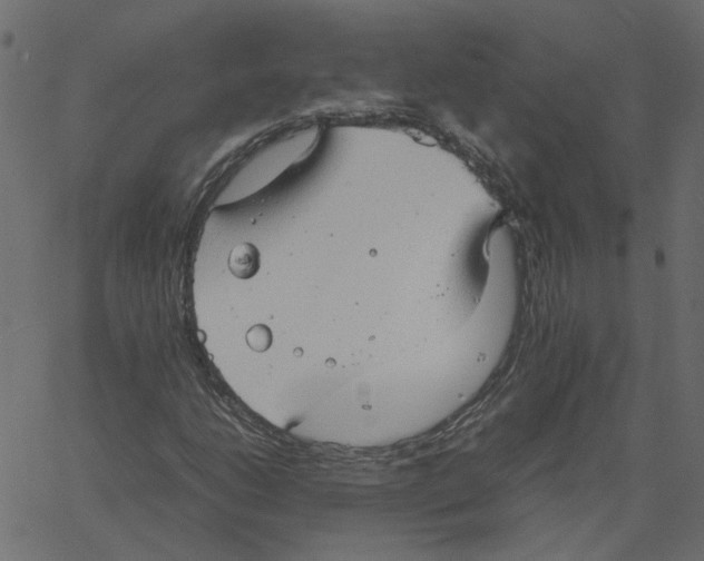 X0000061111206200512161405