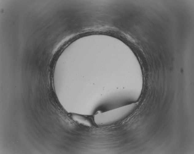 X0000061111214200512161405