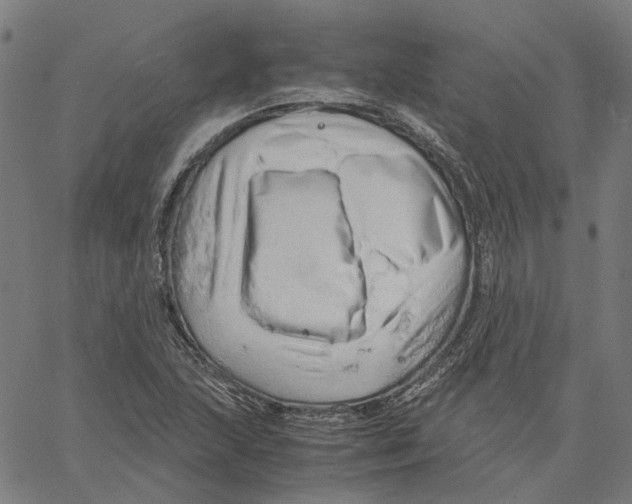 X0000061111215200512161405