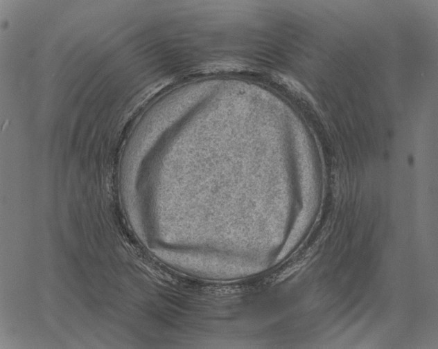 X0000061111217200512161405