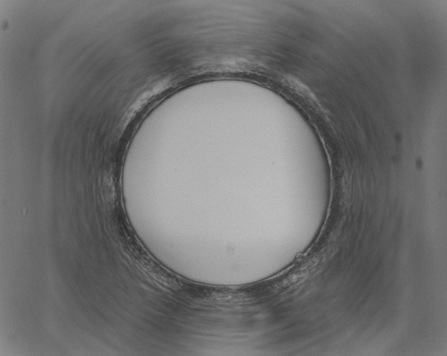 X0000061111218200512161405