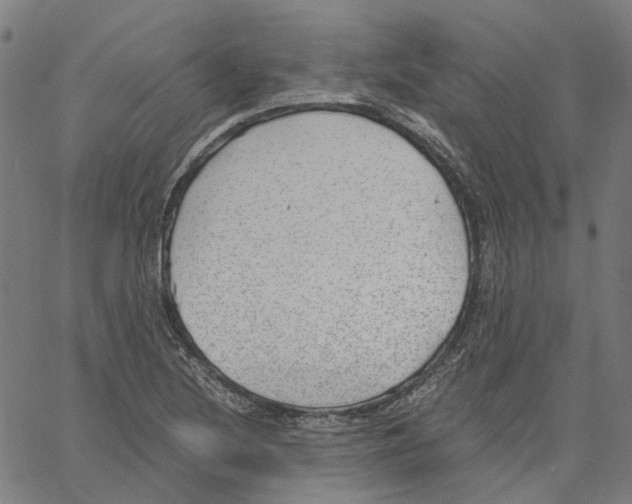 X0000061111220200512161405