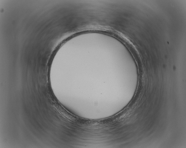 X0000061111222200512161405