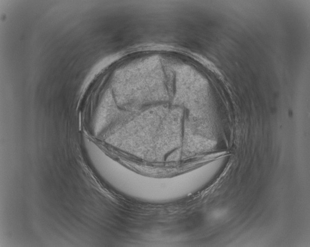 X0000061111223200512161405