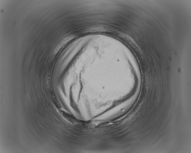 X0000061111225200512161405