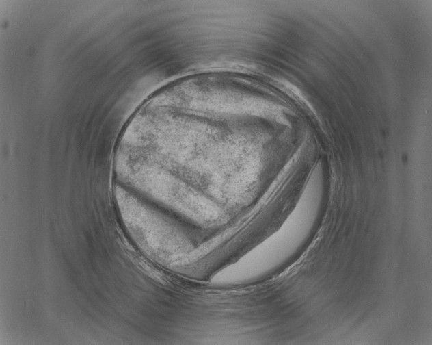 X0000061111228200512161405