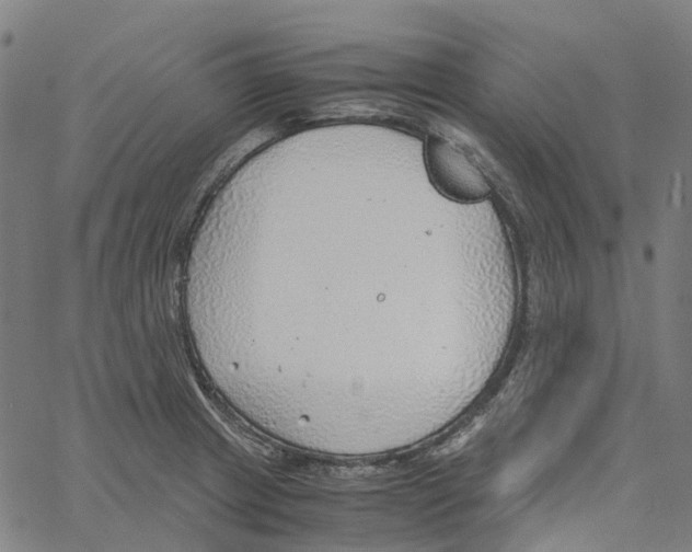 X0000061111233200512161405