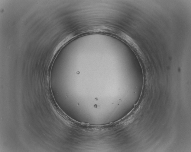 X0000061111234200512161405