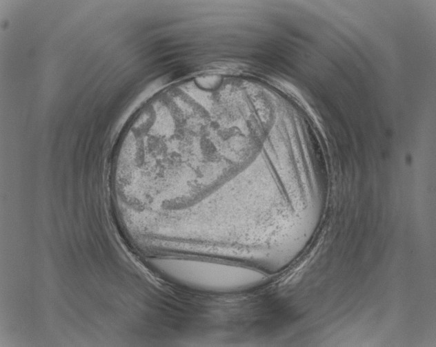 X0000061111235200512161405