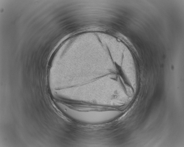 X0000061111236200512161405